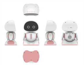 智能小型機器人銷售與服務咨詢，錢元供應，計算機網絡工程施工與設計